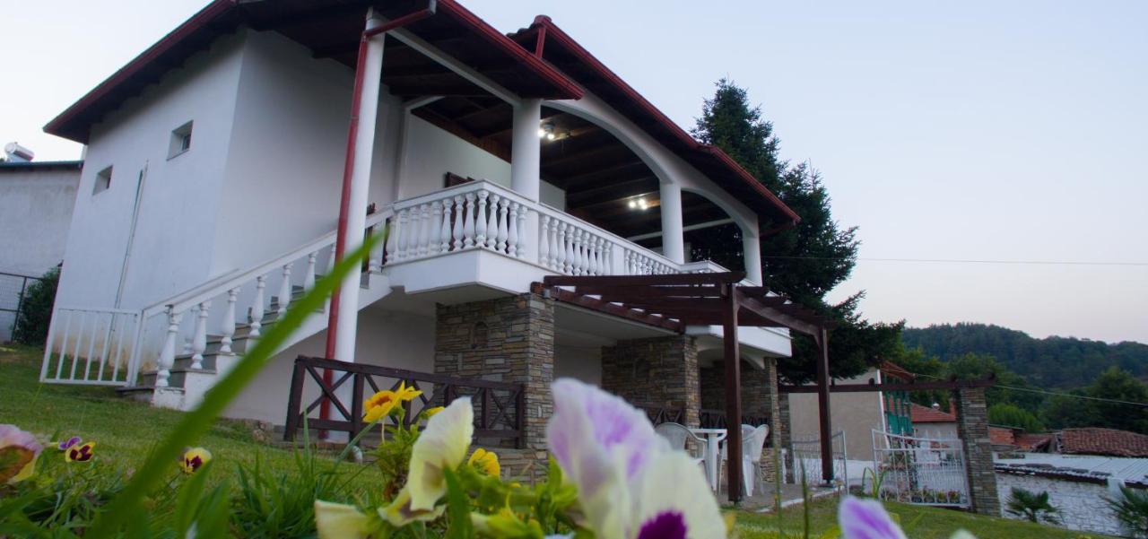 Villa Paradisos Likostomon Exterior photo